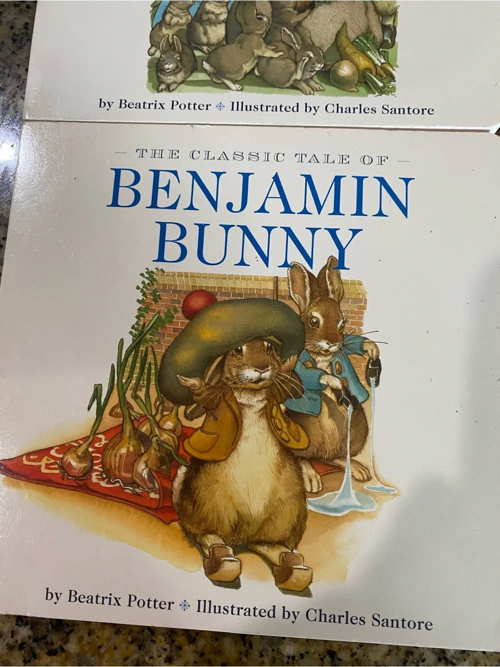 VTG Beatrix Potter Board Book Benjamin Bunny & Flopsy Bunnies Charles Santore